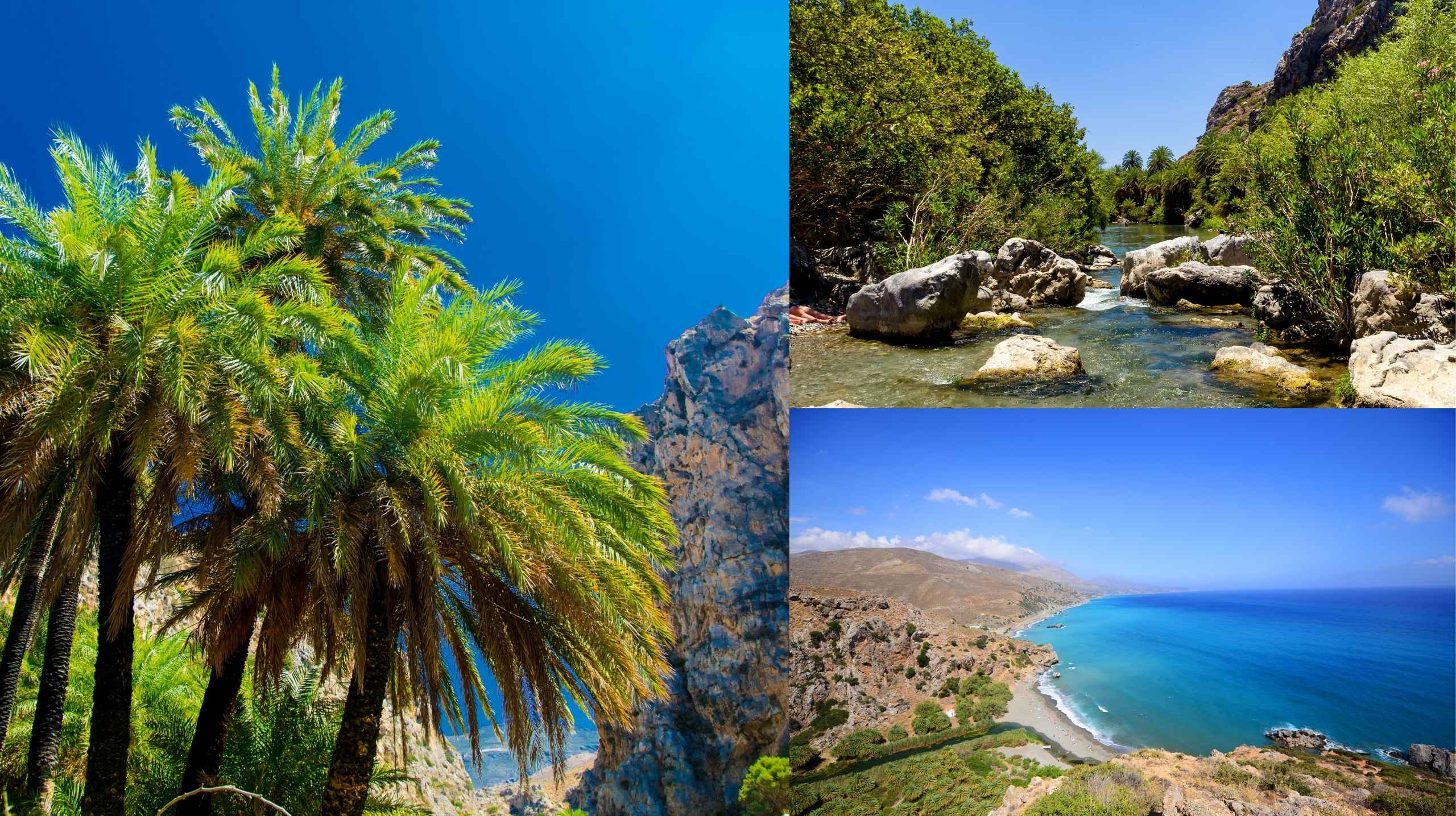 palmeraie prévéli sud crète
