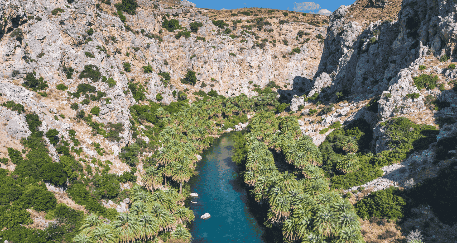 PREVELI PALMERAIE